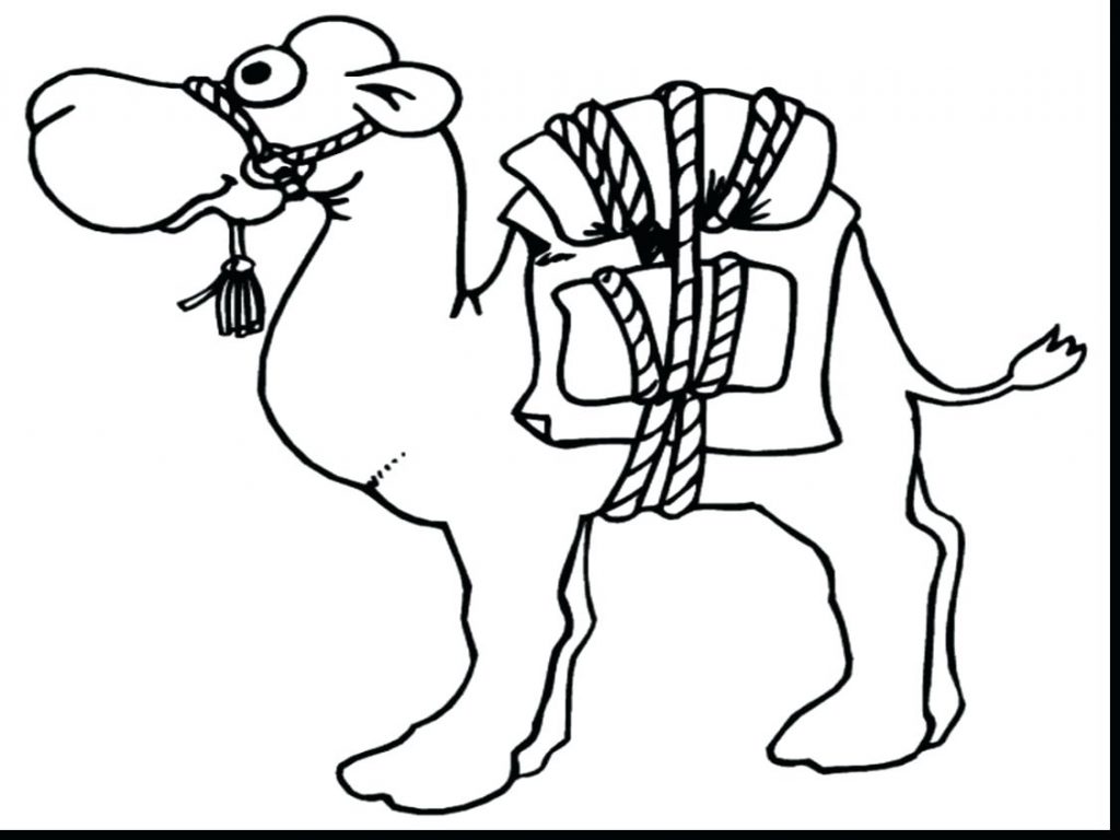 1024x768 Coloring Pages ~ Camel Coloring Page Spectacular Printable Pages