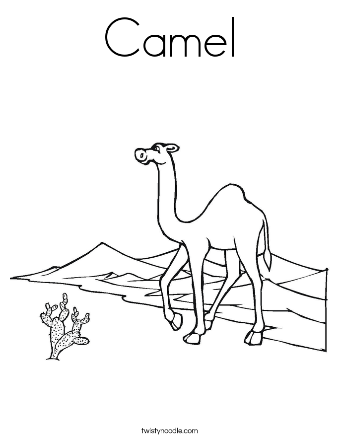 685x886 Camel Coloring Page