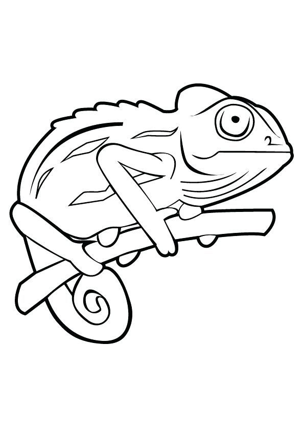 595x842 Stunning Camouflage Coloring Pages Grass Coloring Pages As