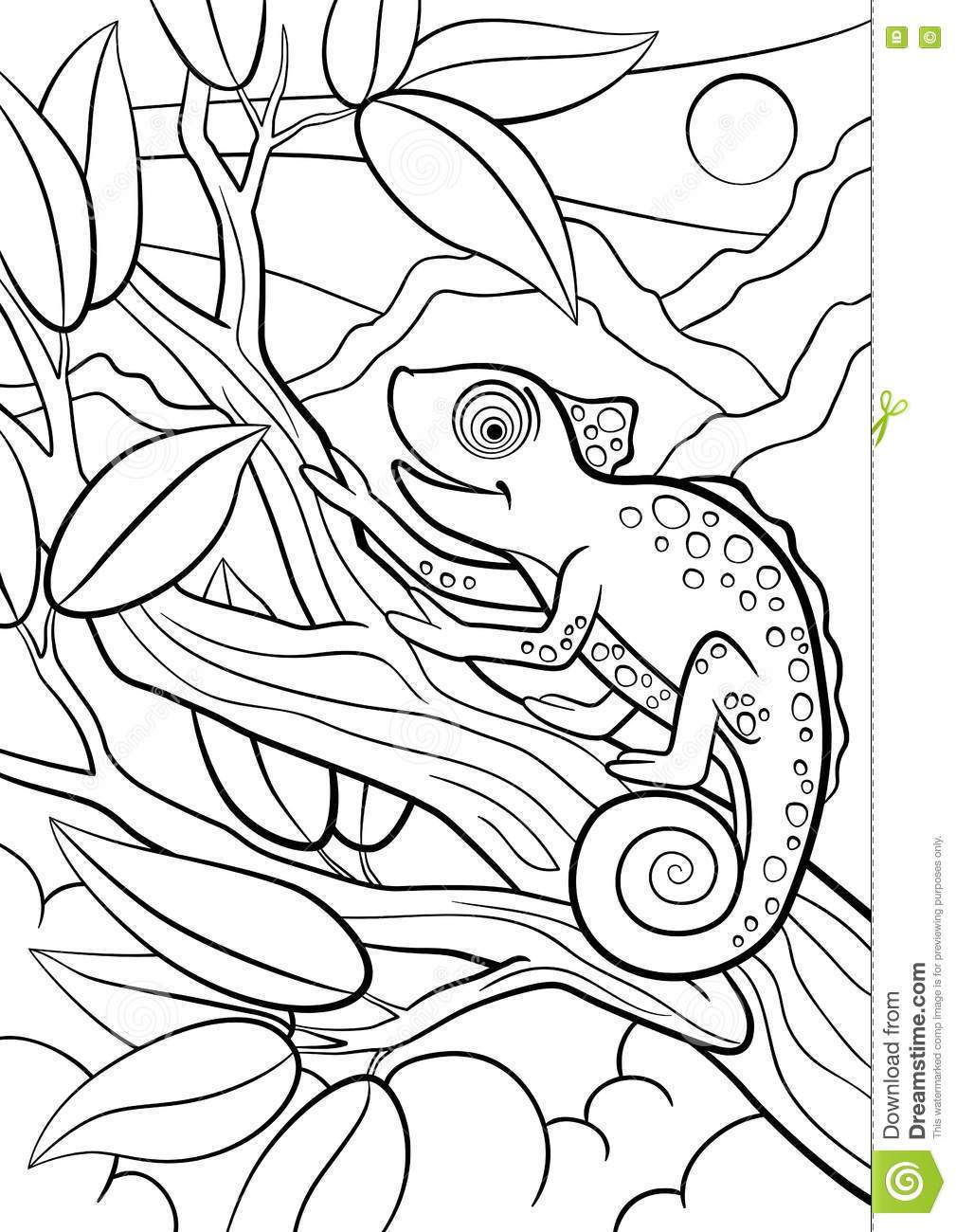 1009x1300 Animal Camouflage Coloring Pages