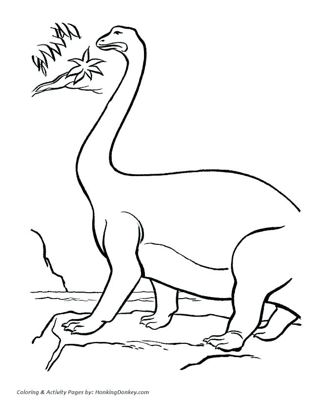 670x820 Camouflage Coloring Pages Extinct Camouflage Pattern Coloring