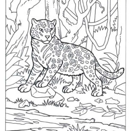 268x268 Coloring Pages Of Camouflage Animals Archives