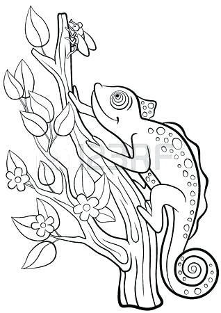 318x450 Animal Camouflage Coloring Pages Printable Mosaic Coloring Pages