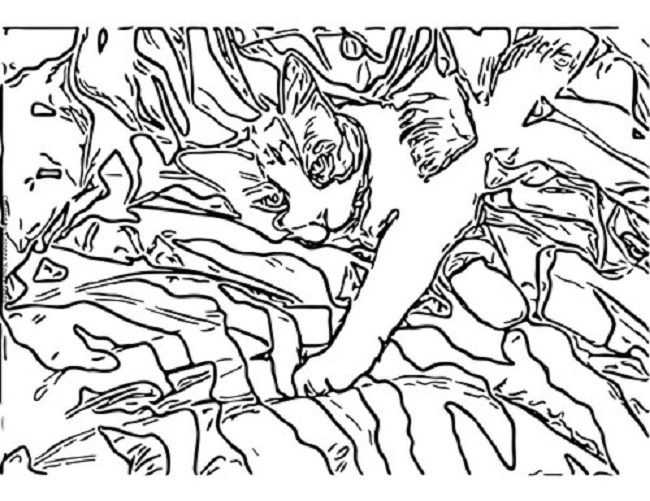 650x501 Camo Pattern Coloring Pages Coloring Pages Camo