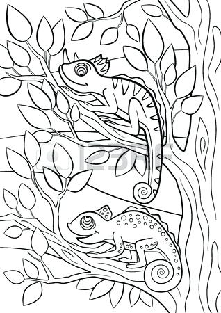 318x450 Camouflage Coloring Camouflage Coloring Pages Animal Camouflage