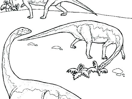 440x330 Camouflage Coloring Pages Camouflage Coloring Pages Animal