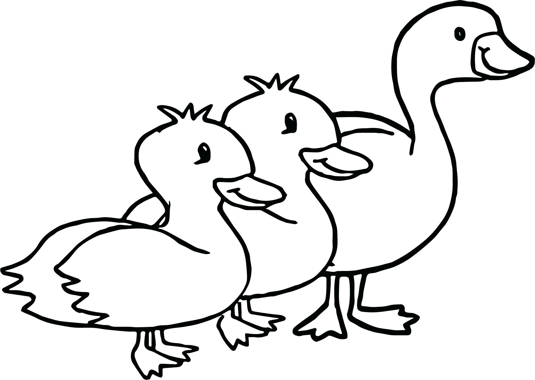 1778x1265 Flying Goose Coloring Page Gooses Birds Walking Pages For Kids