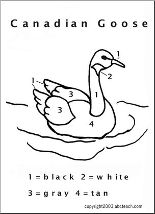 304x419 Color By Number Canadian Goose Abcteach