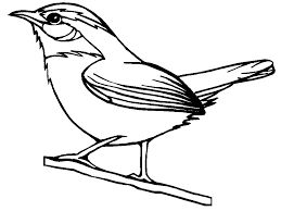 Canary Coloring Page