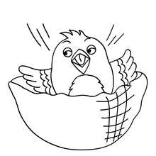 220x220 Canary Coloring Pages