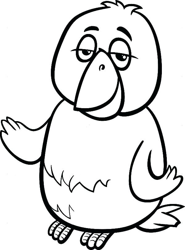 600x809 Coloring Page Of A Bird Canary Bird Cartoon Coloring Page