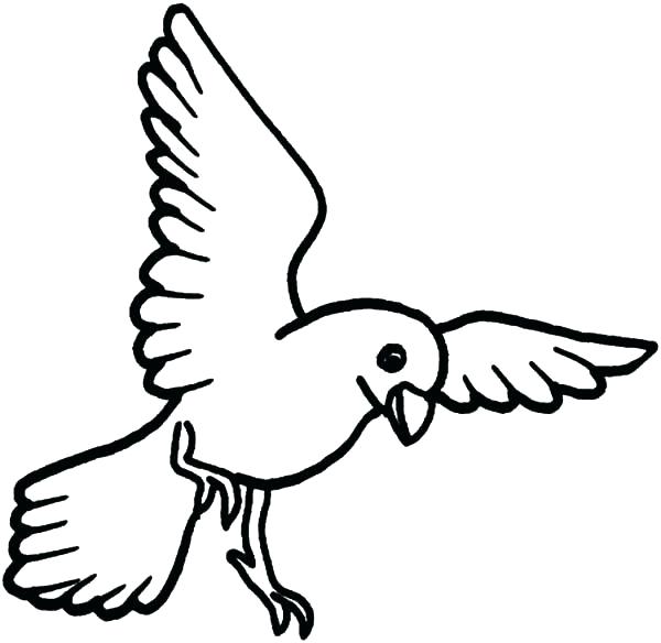 600x584 Coloring Pages Bird Coloring Pages Bird Canary Bird Coloring Pages