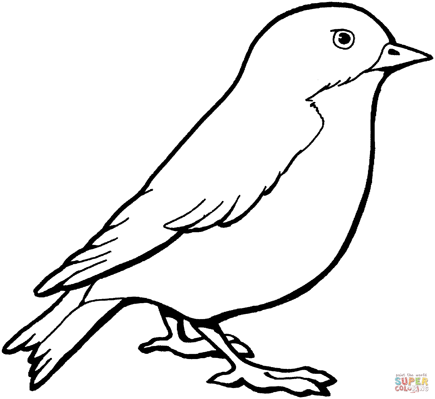 1500x1378 Coloring Pages Of Birds Elegant Perched Canary Bird Coloring Page