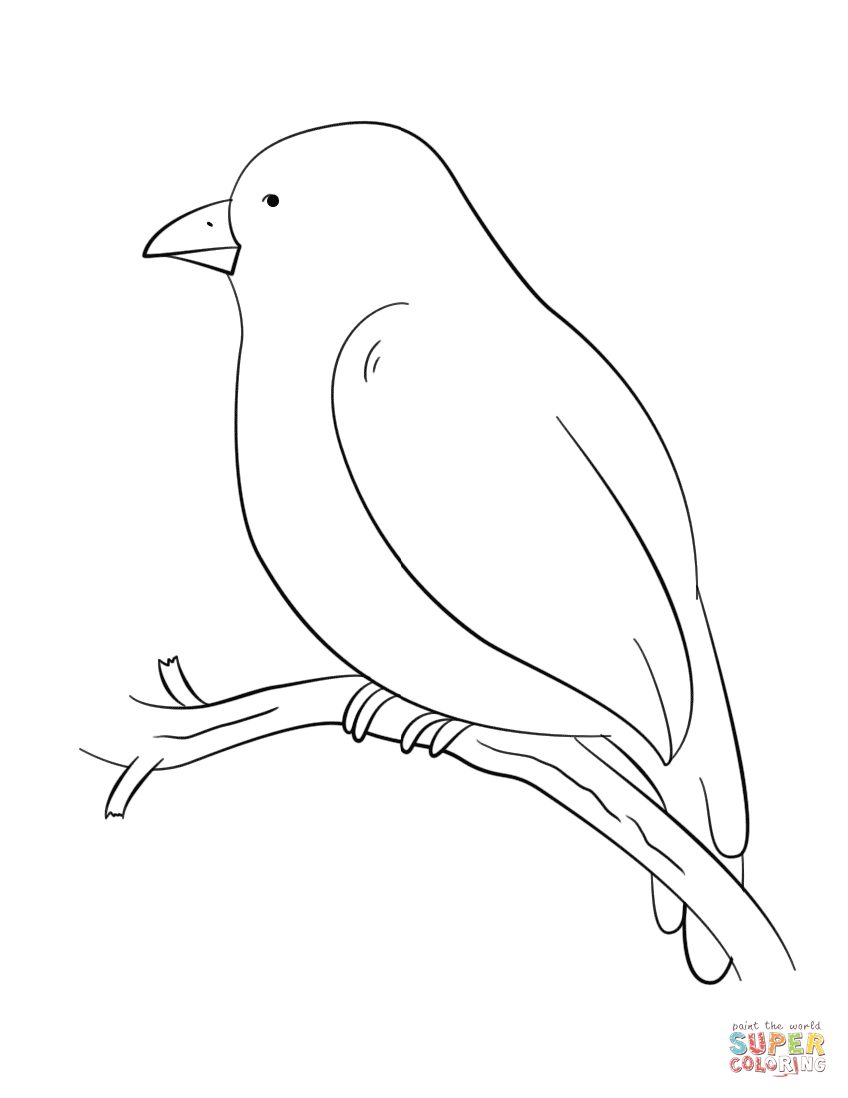 848x1098 Black Canary Coloring Pages