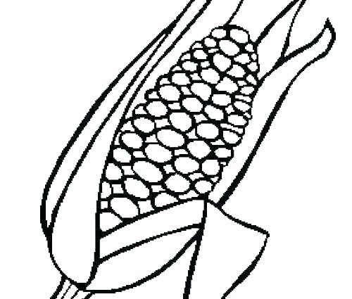 500x425 Candy Corn Coloring Pages Corn Coloring Page Corn Coloring Page X