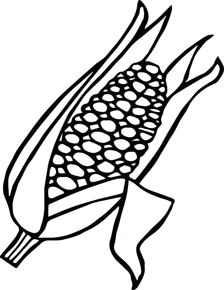 728x942 Coloring Pages Corn Ear Coloring Page Corn Coloring Page Corn