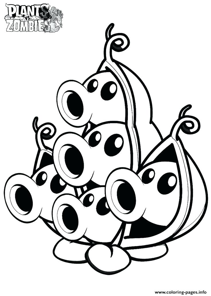 736x1030 Coloring Pages Plants Many Plants Plants Vs Zombies Coloring Pages