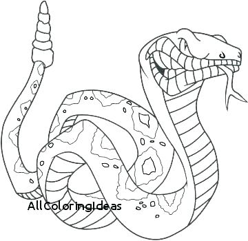 360x350 Colorado Snakes Map Kids Coloring Rattlesnake Coloring Page Pages