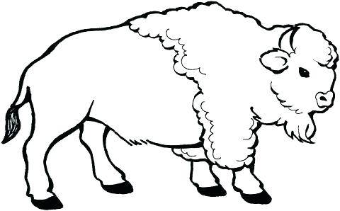 480x298 Buffalo Coloring Page Buffalo Bills Football Coloring Pages
