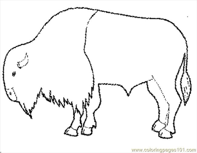 650x503 Bison Coloring Pages