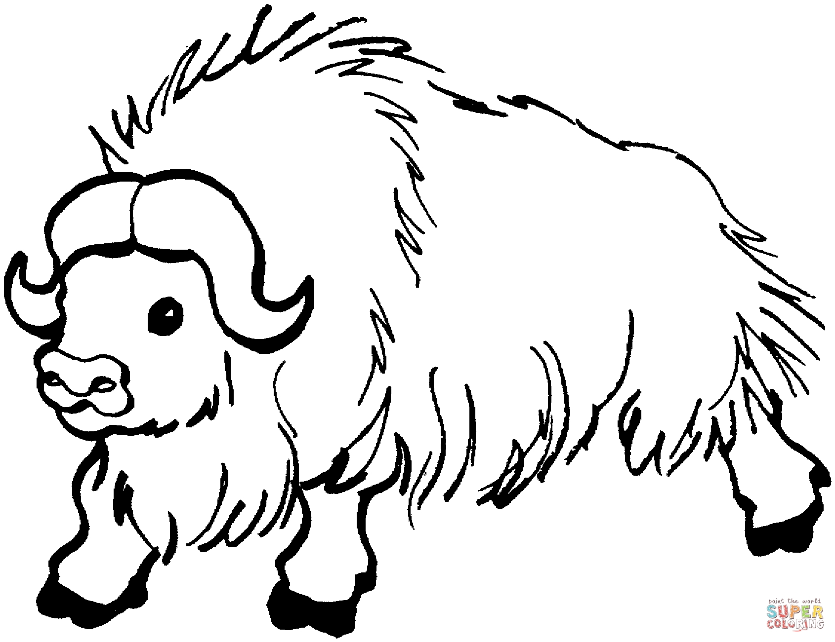 1690x1301 Fantastisch Buffalo Coloring Page Bilder