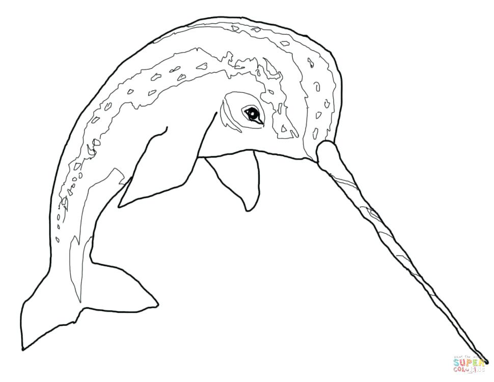 970x750 Octonauts Captain Barnacles Coloring Pages Narwhal Page Free