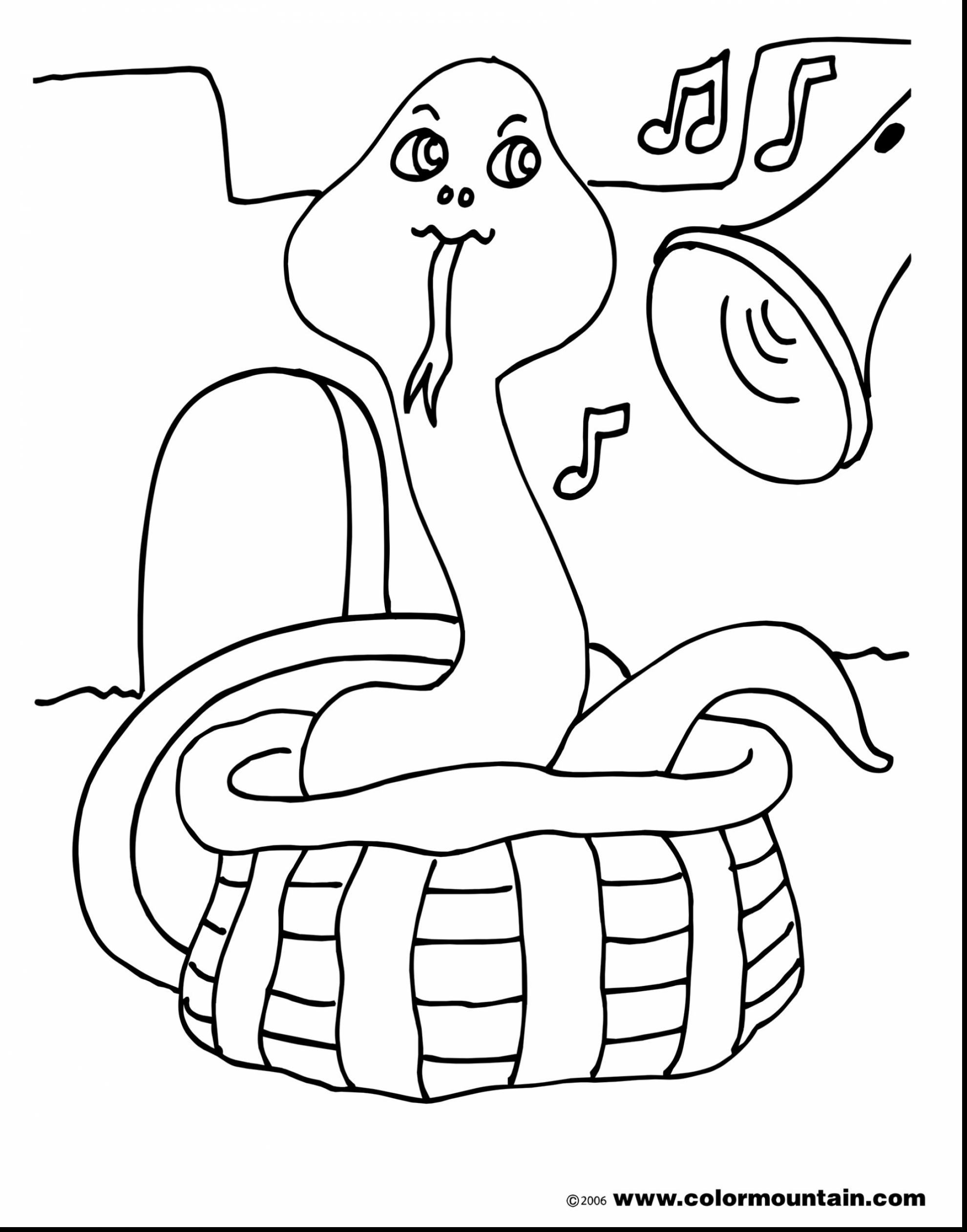 1980x2523 Barnacle Animal Coloring Pages Barnacle Animal Coloring Pages