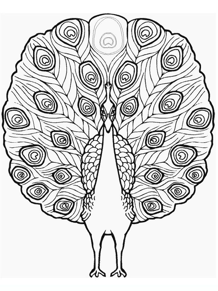 Capybara Coloring Page