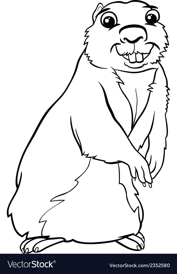 700x1080 Capybara Coloring Page