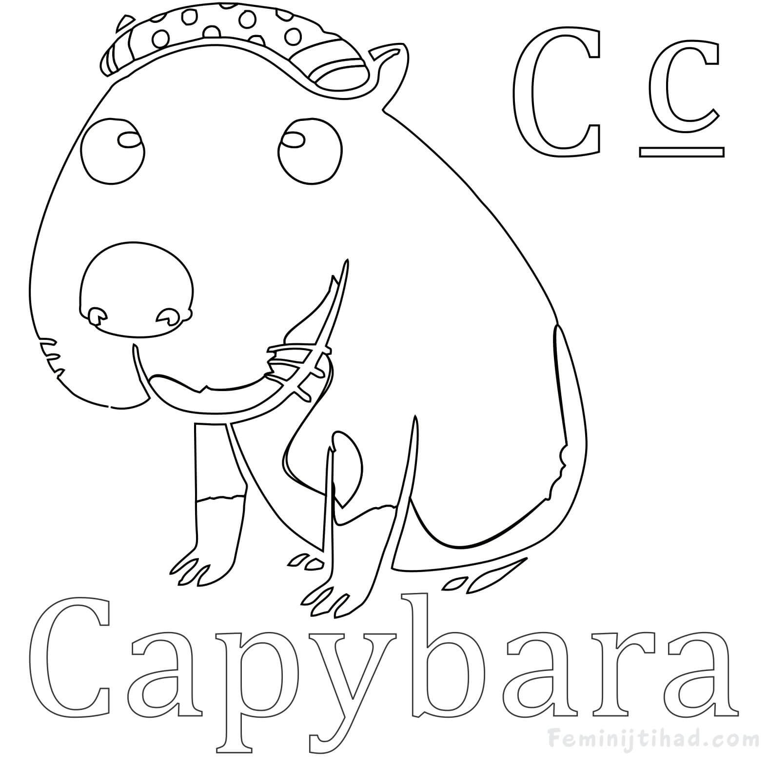 1575x1575 Capybara Coloring Pages Printable Coloring Pages For Kids