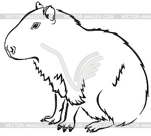 300x270 Free Coloring Page Of The Capybara In The Wild. Reader Bee Free