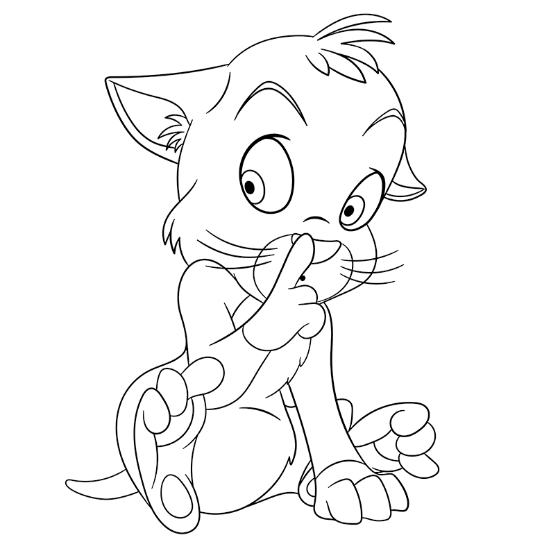 781x781 Animals Coloring Pages Page 13 Of 18 Got Coloring Pages