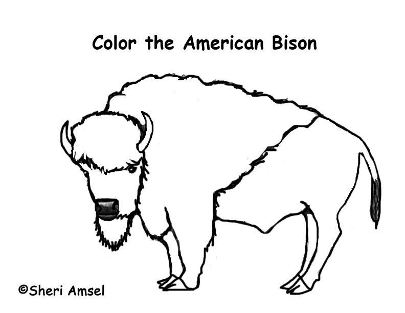 792x612 Bison Coloring Pages Coloring Page For Kids Kids Coloring
