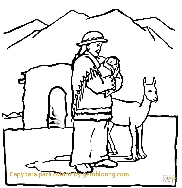 750x774 Capybara Coloring Page Coloring Page Armadillo Animal Cartoon
