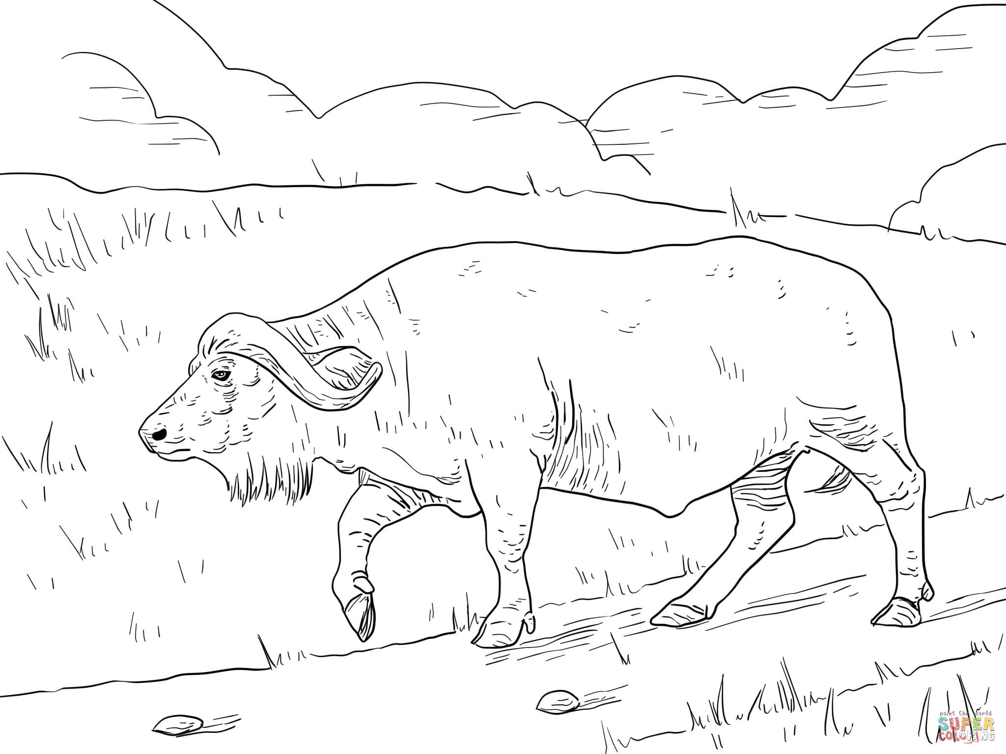 2048x1536 Buffalo Coloring Pages Free For Page