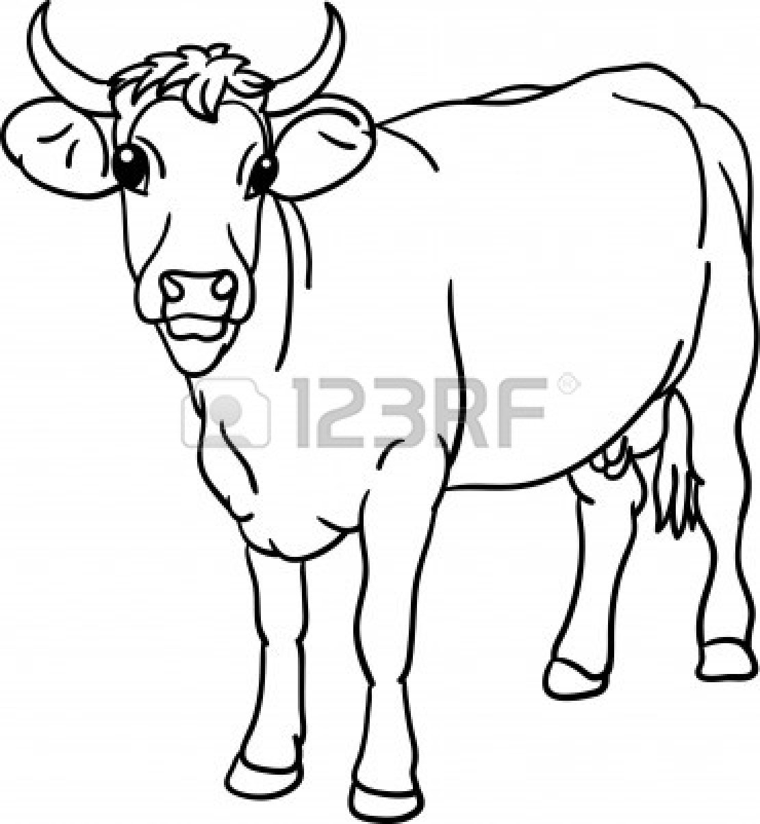 1110x1203 Adult Cow Face Drawing Cow Face Line Drawing. Cow Face Drawing