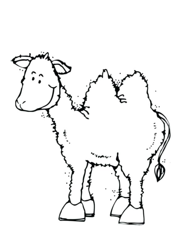 594x792 Camel Coloring Pages Impair.co