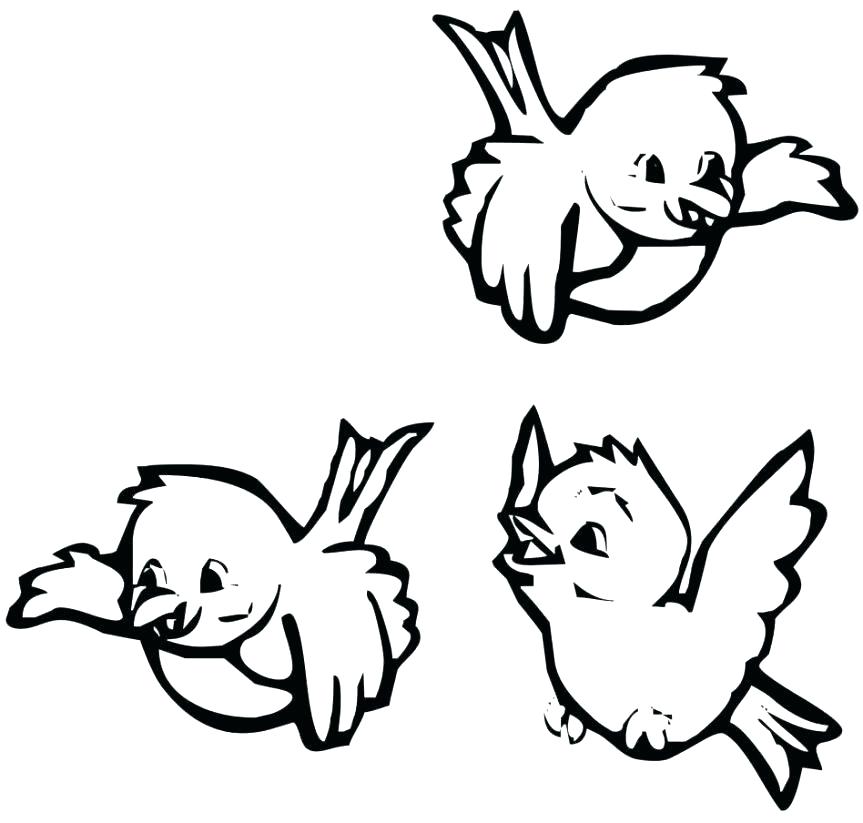 863x823 Cardinal Bird Coloring Page Ocean Animal Coloring Pages