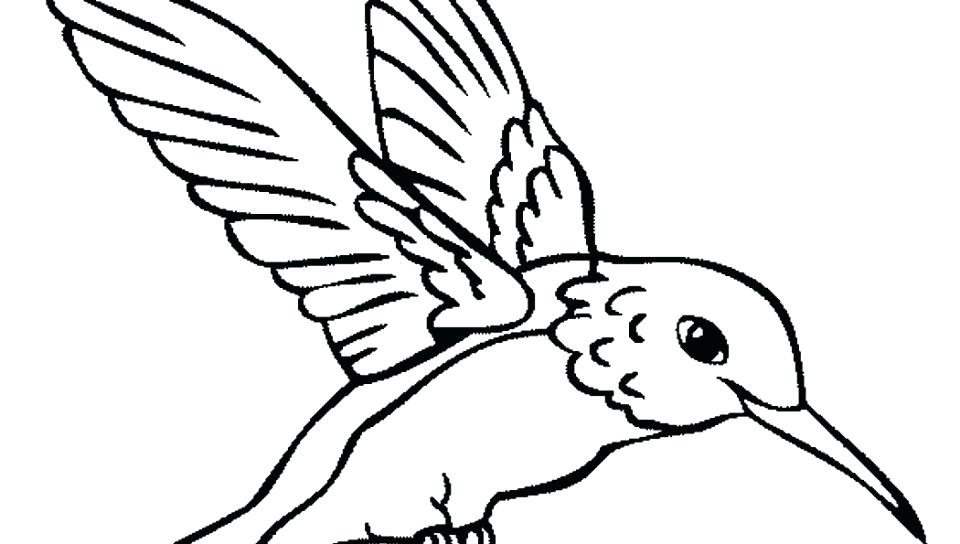 960x544 Cardinal Bird Printable Coloring Pages Free Coloring Bird Coloring