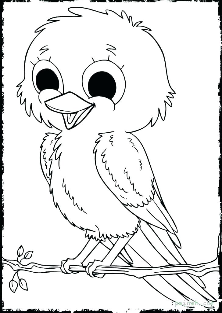 728x1024 Free Printable Cardinal Coloring Page For Kids Cardinal Coloring
