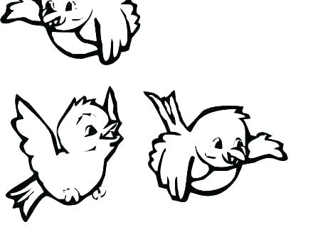 440x330 Lovely Cardinal Coloring Page Ideas Coloring Page Cardinal
