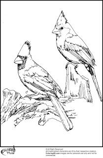 209x320 Blue Jay Bird Coloring Page Printable Projects To Try