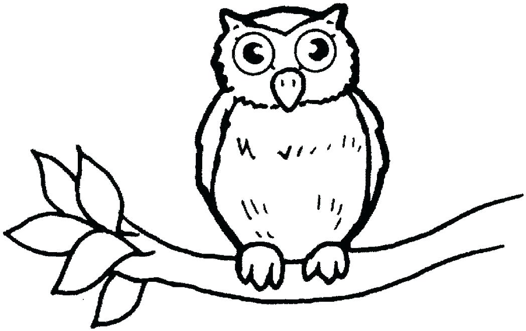 1048x659 Cardinal Bird Coloring Page Bird Coloring Pages To Print Wild
