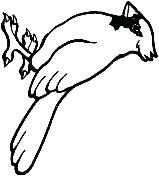 540x599 Cardinal Coloring Pages Cardinal Coloring Page With Cardinal