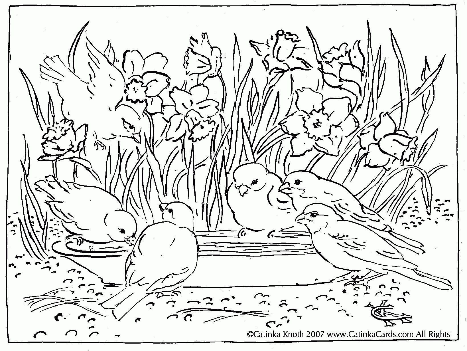 1638x1230 Pond Scene Coloring Page See More About Pond Scene Coloring Page