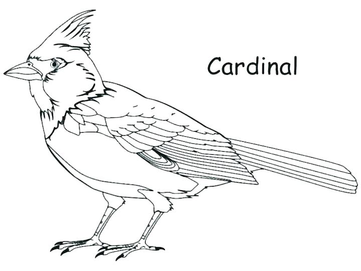 720x540 Cardinals Baseball Coloring Pages