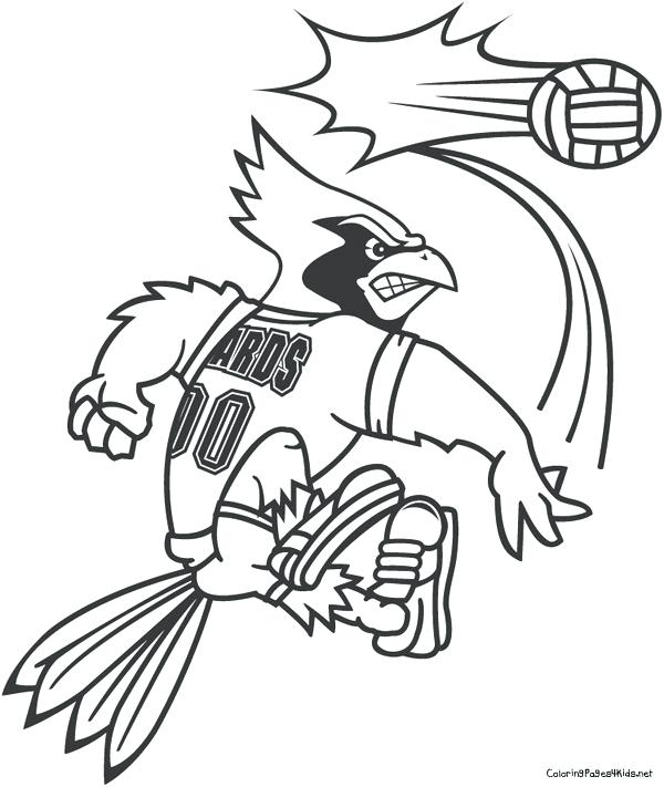 600x711 Cardinal Bird Coloring Page Printable Printable Coloring Cardinal