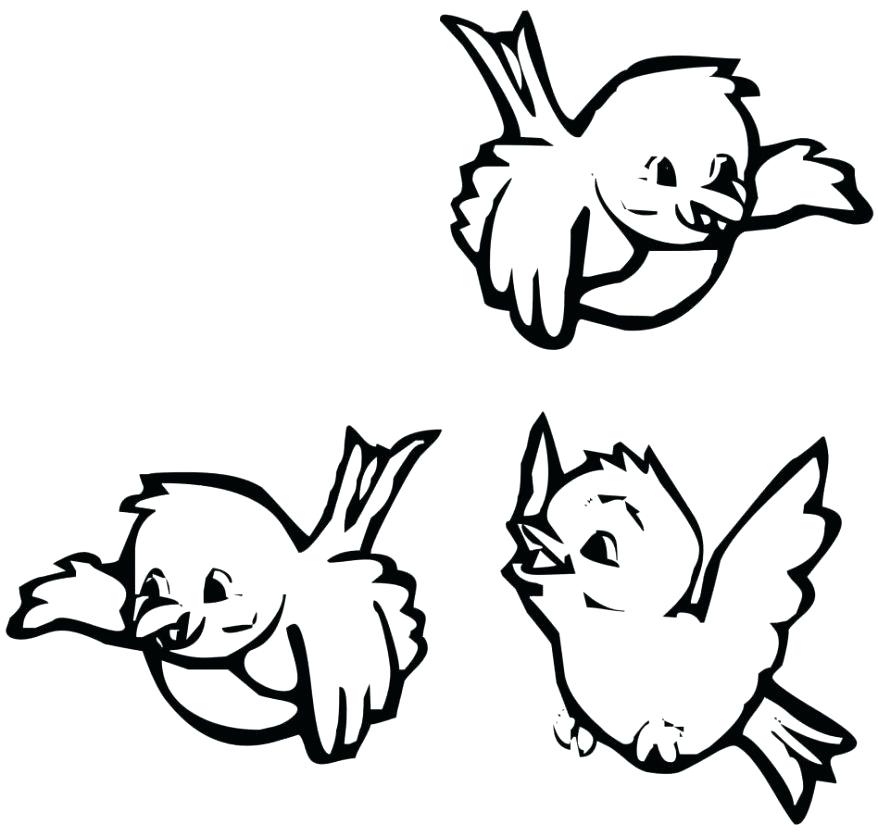 878x837 Cardinal Coloring Pages Coloring Sunflowers And Blue Jay Bird