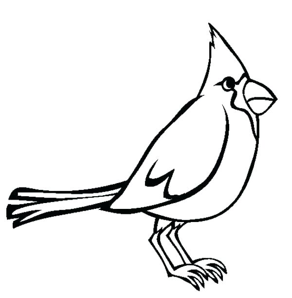 600x612 Bird Coloring Sheet Coloring Cardinal Coloring Page Full Size