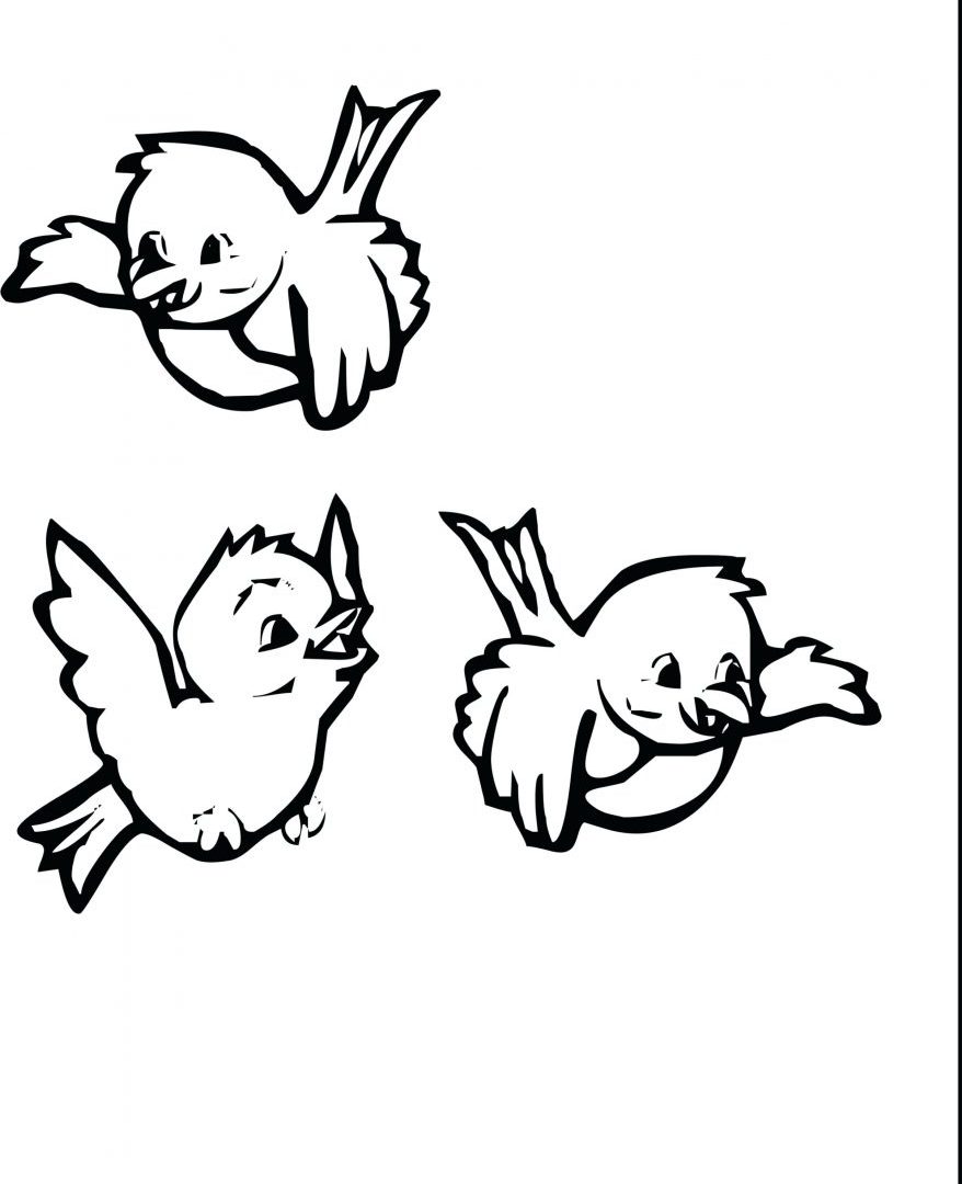 878x1080 Unusual Cardinal Coloring Pages For Kids Printable Of Beautiful